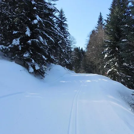 Appartement confortable à Ignaux, 31 m² avec piscine * Ignaux