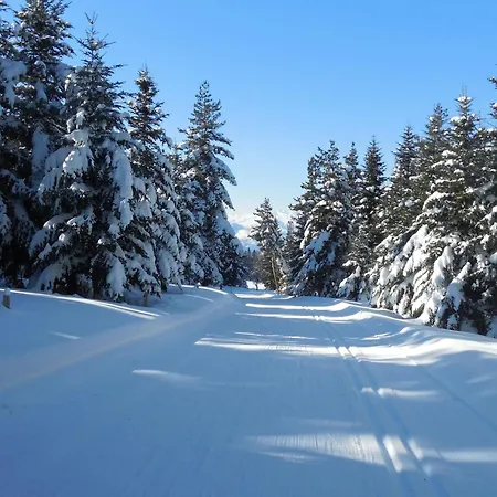 Appartement confortable à Ignaux, 31 m² avec piscine Apartament